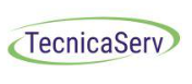 TecnicaServ  logo