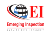 Emerging Inspection logo